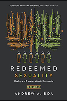 Redeemed Sexuality: 12 Sessions for Healing and Transformation in Community