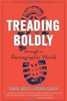 Treading Boldly through a Pornographic World: A Field Guide for Parents